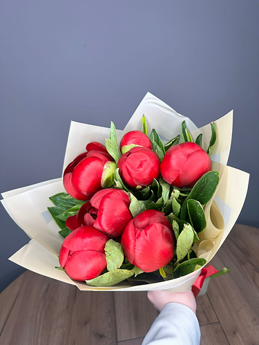 Букет из 7 бордовых пионов